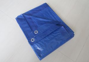 中型PE塑料篷布